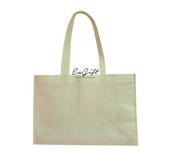 Rectangle Non Woven Bag (Ready Stock no print)
