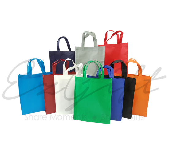 Small Non Woven Bag (Ready Stock no print)
