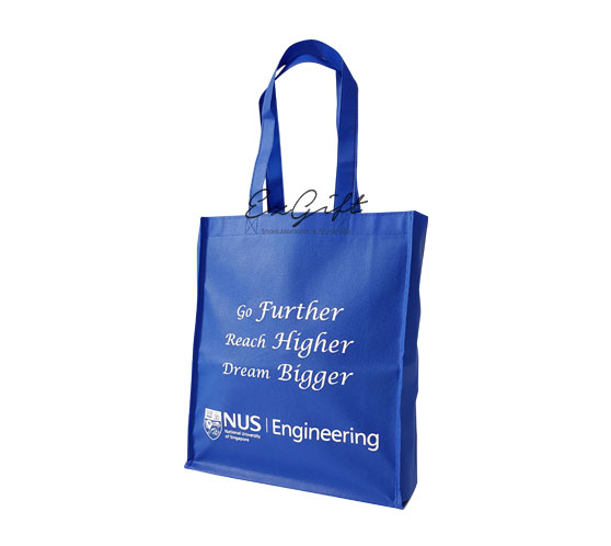 Non Woven Bag Singapore