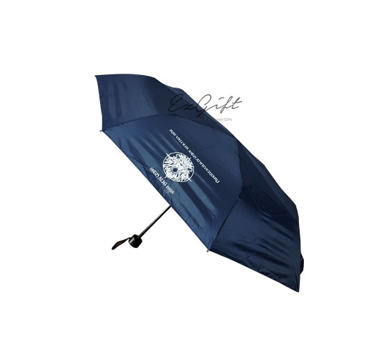 Past-project_Umbrella